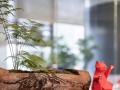 办公室装修设计的细节主要有哪些？